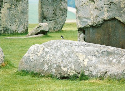 Stonehenge - Early Visitor