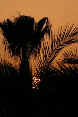 Sunset over the River Nile.jpg