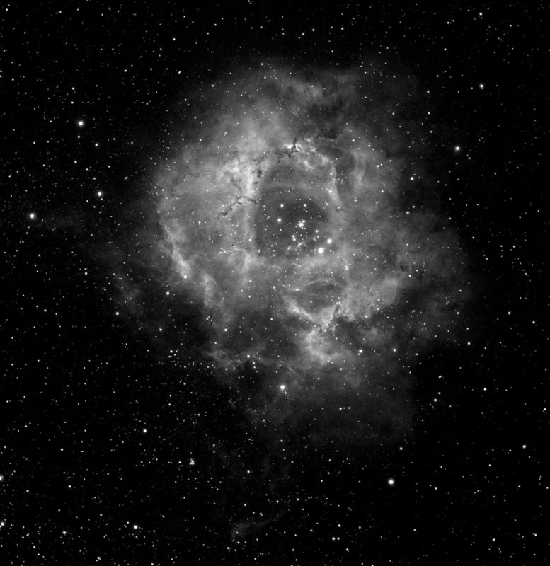Rosette Nebula in Ha (NGC 2237)