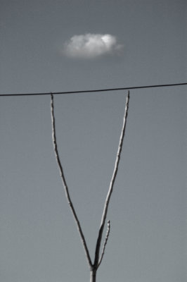 Reflections of Beit-Jan