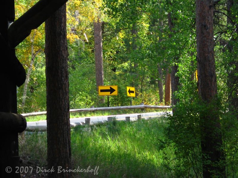 IMG_0268TwoWays.jpg