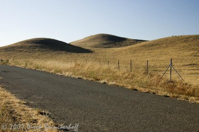 NicasioPond HillShadows 007.jpg