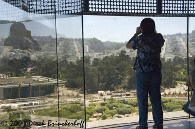de Young  038PictureFrmTower.jpg