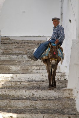 Camera-shy donkey rider shouting at me