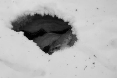 Hole in the snow covered ice
