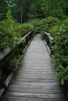 Foot bridge