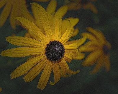 Susan