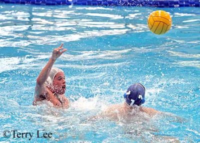 Water Polo - Witwatersrand Vs Murdoch/Curtin