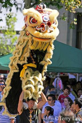 Chinese New Year Multicultural Concert