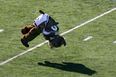 Monte flip