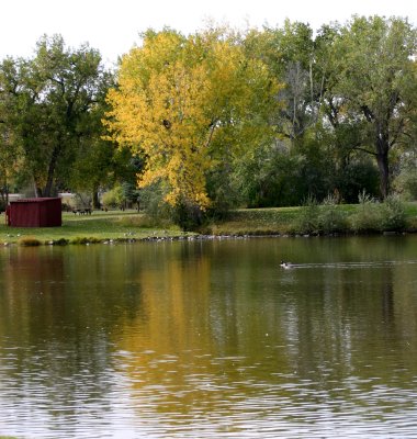 Fall at Riverfront