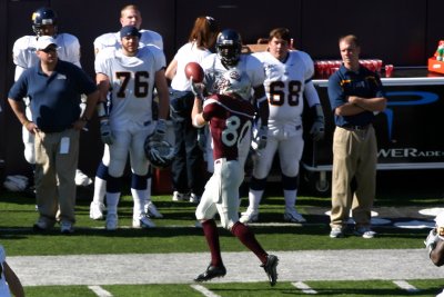 Griz action