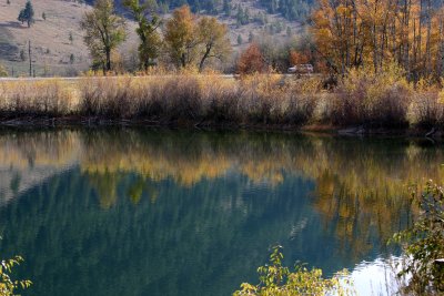 Western MT reflection