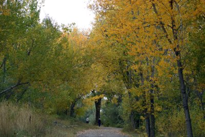 Riverfront walk