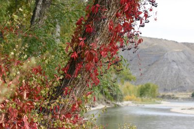Riverfront Park II