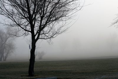 Foggy Lake Hills