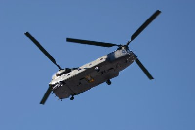 Homecoming chopper