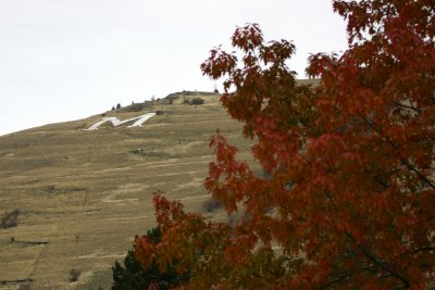 Fall M