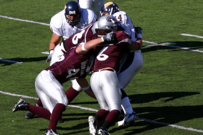 Griz D