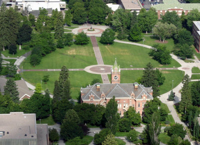 Oval
