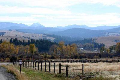 Western MT