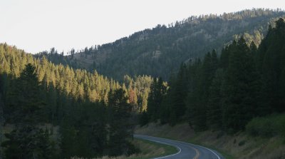 Bridger bowl area