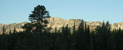 Bridger Mtn valley