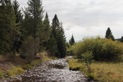 Crazy Mtn stream