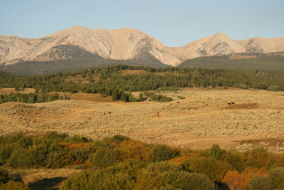 Shields River Valley