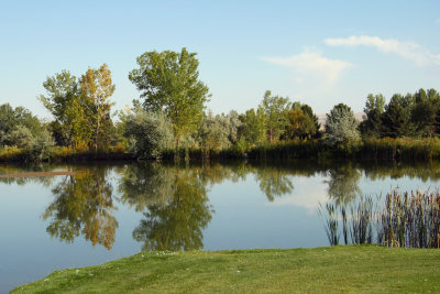 Laurel golf