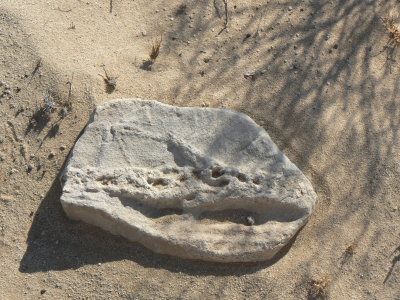 a fossil perhaps.JPG