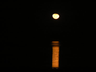 moon over the sea of cortez.JPG