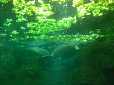P1030133.JPG