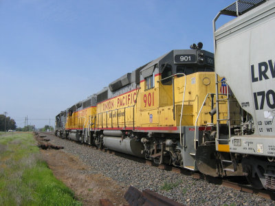 Redding Turn stopped in Ostrom Sdg.jpg