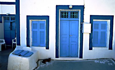 BLUE HOUSE
