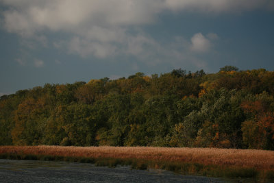 Fall Colors