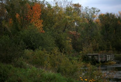 A hint of Autumn
