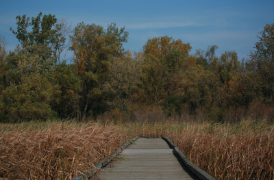 Boardwalk
