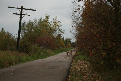 Autumn