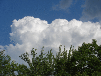 DSC06726.gif