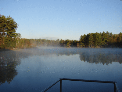 DSC06614.gif