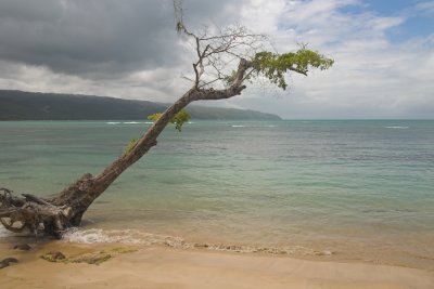 samana