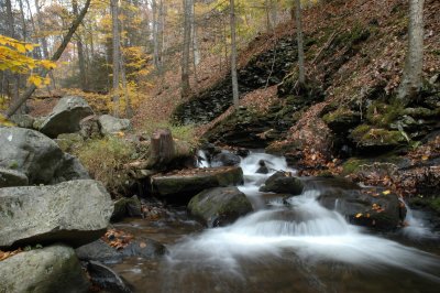 DSC_6505.JPG