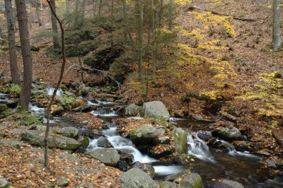 DSC_6510.JPG