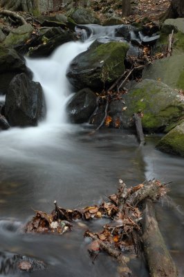 DSC_6533.JPG