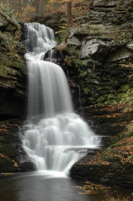 DSC_6549.JPG
