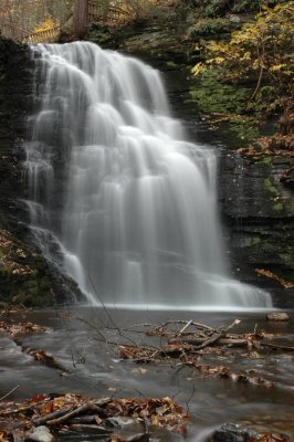 DSC_6560.JPG