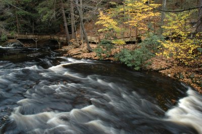 DSC_6615.JPG