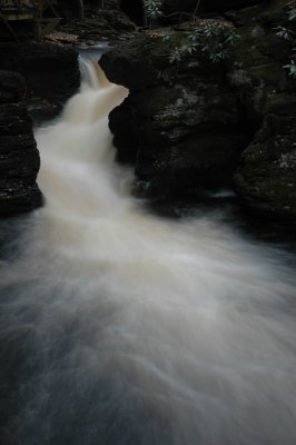 DSC_6619.JPG
