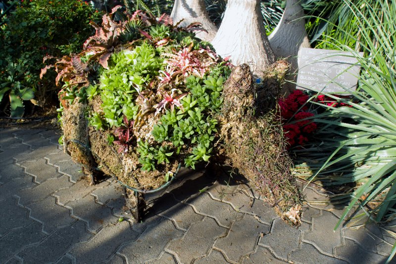 IMG00075-web.jpg
